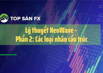 Lý thuyết NeoWave – Phần 2: Các loại nhãn cấu trúc
