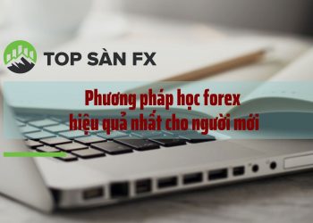 Phương pháp học Forex hiệu quả nhất cho người mới