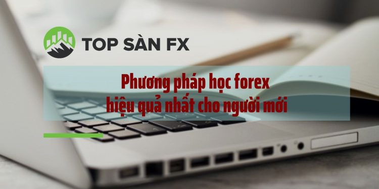 Phương pháp học Forex hiệu quả nhất cho người mới