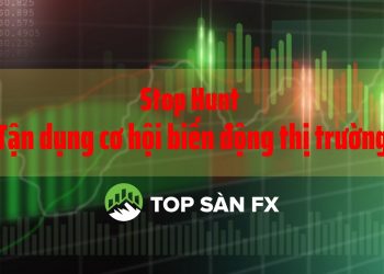 Stop Hunt - Tận dụng cơ hội biến động thị trường