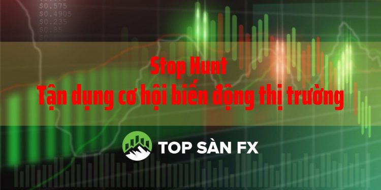 Stop Hunt - Tận dụng cơ hội biến động thị trường