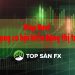 Stop Hunt - Tận dụng cơ hội biến động thị trường