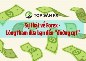 Sự thật về Forex – Lòng tham đưa bạn đến “đường cụt”