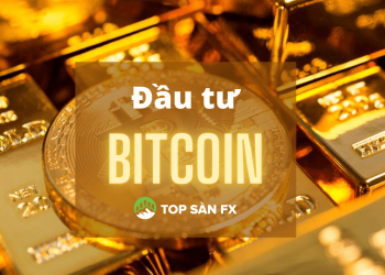 Hướng dẫn đầu tư bitcoin cho người mới