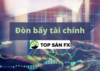 Đòn bẩy tài chính – Hiểu để vận dụng phù hợp
