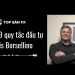 Gối đầu 9 quy tắc đầu tư Lewis Borsellino