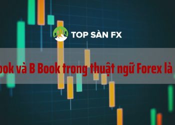 A Book và B Book trong thuật ngữ Forex là gì_