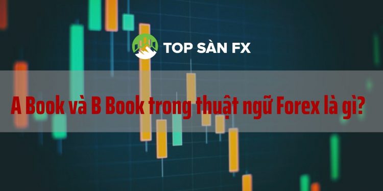 A Book và B Book trong thuật ngữ Forex là gì_