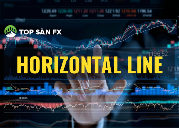 Horizontal line là gì? Hướng dẫn cách sử dụng