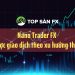 Nano Trader FX – Chiến lược giao dịch theo xu hướng thị trường    