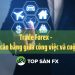 Trade Forex – Làm sao cân bằng giữa công việc và cuộc sống?