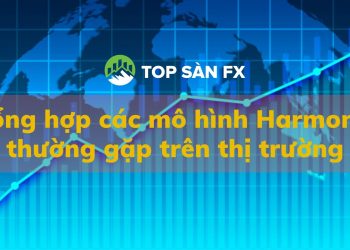 Tổng hợp các mô hình Harmonic thường gặp trên thị trường
