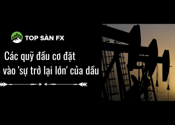 Các quỹ đầu cơ đặt cược vào ‘sự trở lại lớn’ của dầu