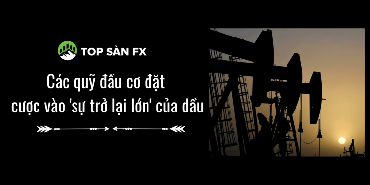 Các quỹ đầu cơ đặt cược vào ‘sự trở lại lớn’ của dầu
