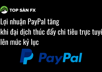 Lợi nhuận PayPal tăng khi đại dịch thúc đẩy chi tiêu trực tuyến lên mức kỷ lục