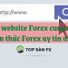 Các website Forex cung cấp kiến thức forex uy tín nhất   