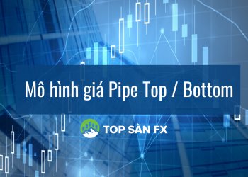 Mô hình giá Pipe Top / Bottom