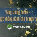 Vàng trong Forex-Trái ngọt không dành cho trader yếu tim