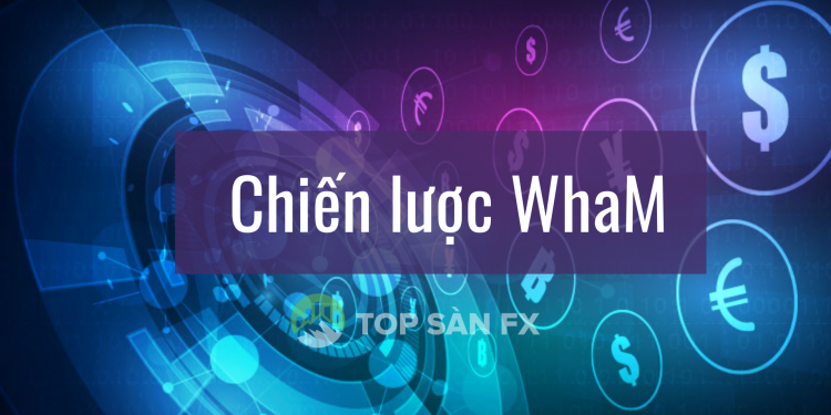 Giải thích và áp dụng chiến lược WhaM trong forex