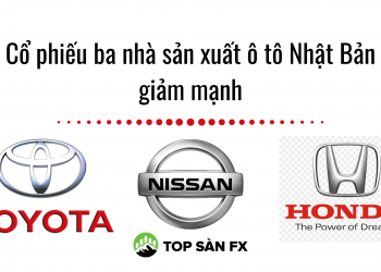 Cổ phiếu của ba nhà sản xuất ô tô Nhật Bản giảm mạnh