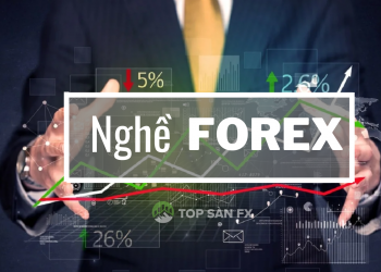 Nghề Forex – con đường đi đến thành công
