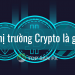 Crypto là thị trường tiềm năng hay rủi ro với nhà đầu tư