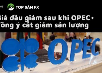 Giá dầu giảm sau khi OPEC + đồng ý cắt giảm sản lượng