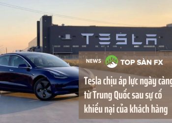 Tesla chịu áp lực ngày càng lớn từ Trung Quốc sau sự cố khiếu nại của khách hàng
