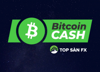 Bitcoin Cash là gì? Cách chơi an toàn cho người nhập môn