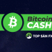 Bitcoin Cash là gì? Cách chơi an toàn cho người nhập môn
