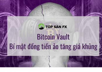 Bitcoin Vault – Bí mật đồng tiền ảo tăng giá khủng