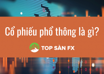 6 loại cổ phiếu phổ thông và đặc điểm cần nắm