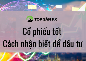 Cổ phiếu tốt – Cách nhận biết để đầu tư