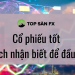 Cổ phiếu tốt – Cách nhận biết để đầu tư
