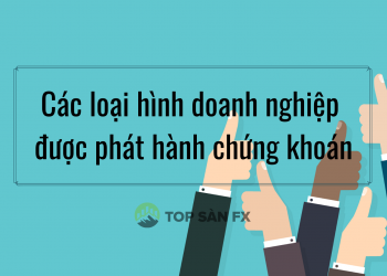 Tổng hợp các loại hình doanh nghiệp được phát hành chứng khoán