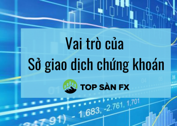 Vai trò và cách vận hành của Sở giao dịch chứng khoán