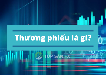 Thương phiếu là gì? Các loại thương phiếu thông dụng