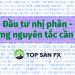 Đầu tư nhị phân – Những nguyên tắc cần nhớ