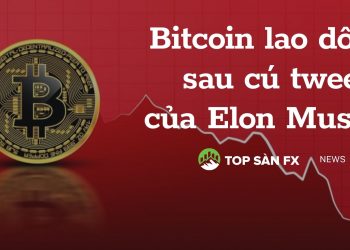 Bitcoin lao dốc sau cú tweet của Elon Musk