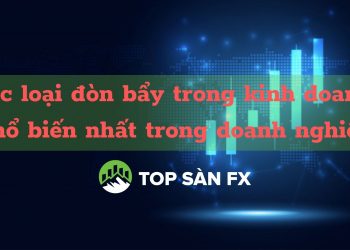 Các loại đòn bẩy trong kinh doanh phổ biến nhất trong doanh nghiệp