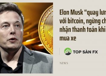 Elon Musk “quay lưng” với bitcoin, ngừng chấp nhận thanh toán khi mua xe