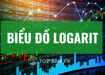 Hướng dẫn sử dụng biểu đồ Logarit