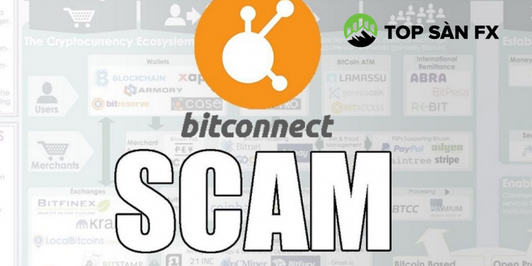Bitconnect là gì? Sự tan vỡ của dự án Lending lớn nhất Crypto
