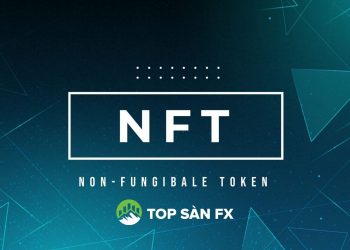 Coin NFT là gì? Tổng quan về hệ sinh thái NFT