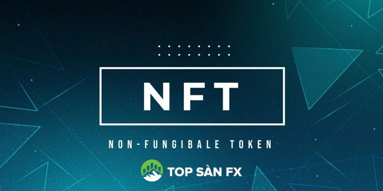 Coin NFT là gì? Tổng quan về hệ sinh thái NFT