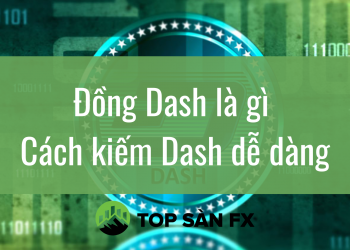 Đồng Dash là gì – Cách kiếm Dash dễ dàng
