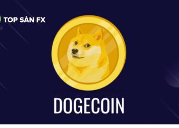 Đồng Dogecoin – Giấc mơ bong bóng