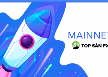 Mainnet là gì? Sự ảnh hưởng của Mainnet đến giá coin
