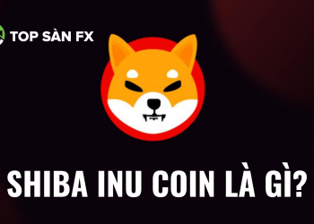 Shiba Inu coin là gì? Có nên đầu tư Shiba?