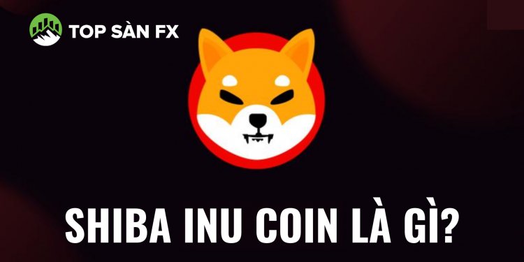 Shiba Inu coin là gì? Có nên đầu tư Shiba?